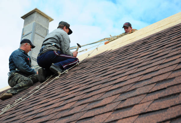 Roof Gutter Cleaning in Burnettown, SC